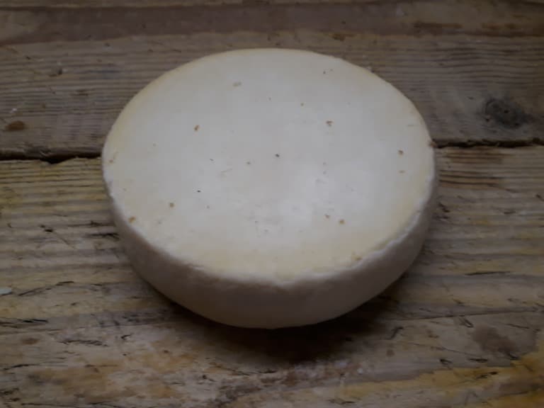 Weichkäse Agrippina frisch von der Alm, halb oder ganz