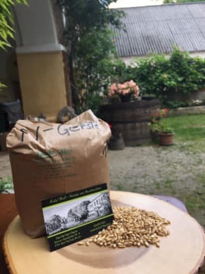 Bio Nacktgerste, Demeter von Biohof FLECHL