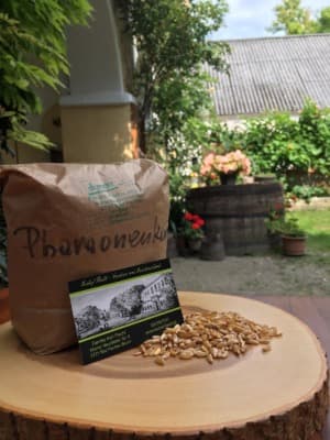 Bio Pharaonenkorn (Kamut), Demeter von Biohof FLECHL