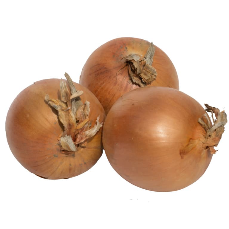 Gelber Zwiebel