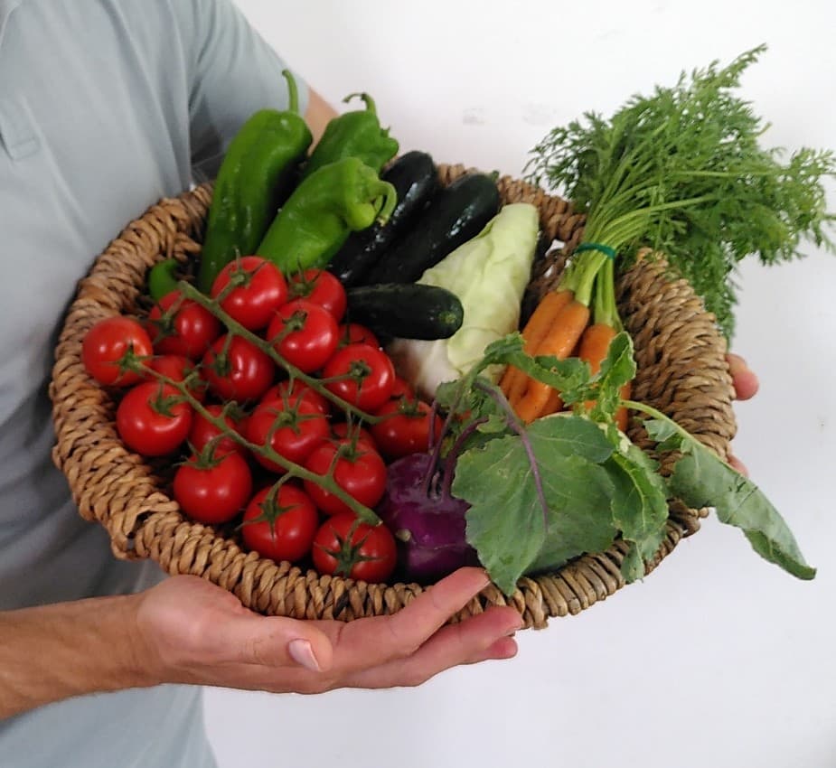 Ein Foto auf paradeisa.at