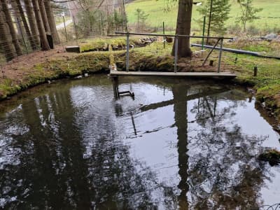 Profilbild des Produzenten: Naturteichfische Lehofer