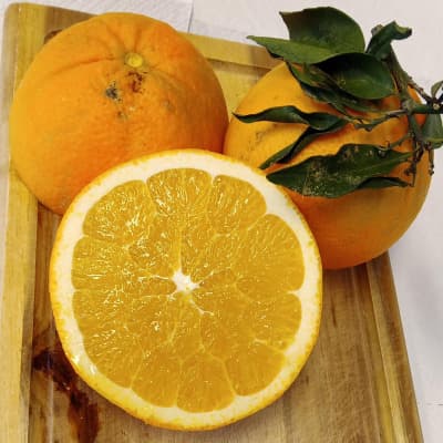 Bio Orange Navel von Bio Orangello