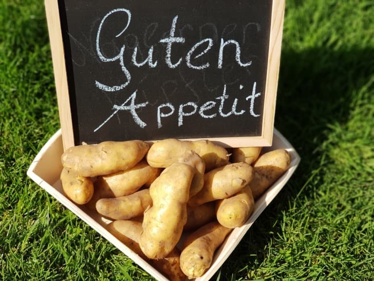 Bio Naglerner Kipfler Kartoffeln