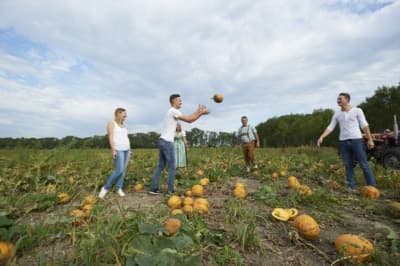 Profilbild des Produzenten: Ab-Hof-Verkauf Hörhan