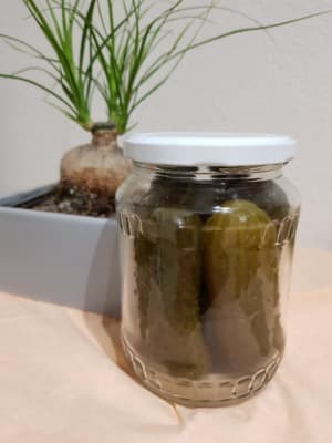 Salzgurken von Krautbaron