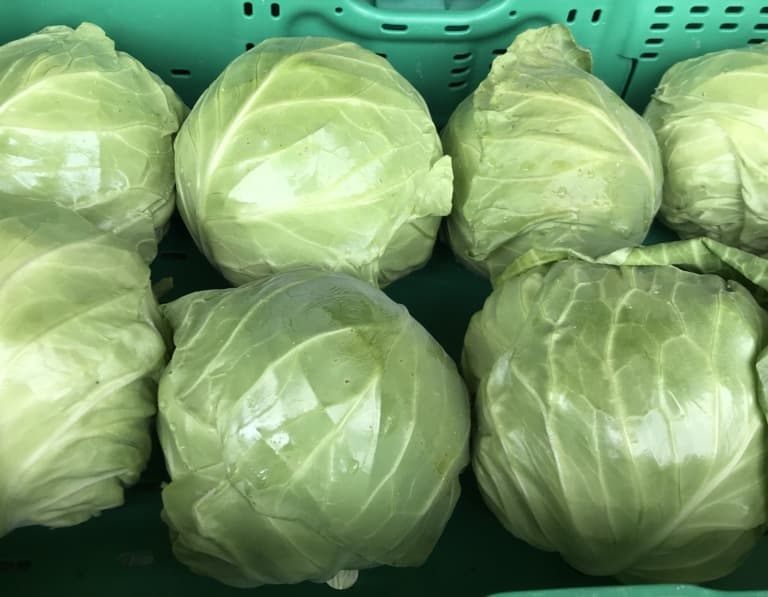 Frühkraut