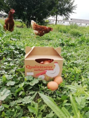 Small Eier aus Freilandhaltung von Dopplerhof