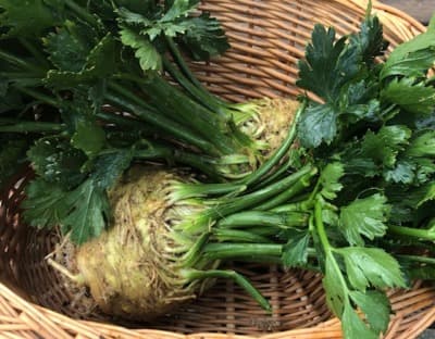 Bio Zeller mit Grün ca.500g von Gärtnerei Fleischhacker