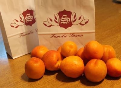 Marillen von Obstbau Samm