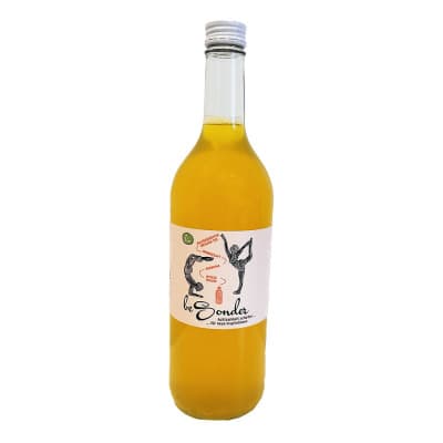 beSonder Kurkuma-Ingwer (Bio, 750ml) von beSonder OG