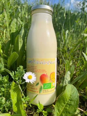 Bio Trinkjoghurt "Mango Lassi" von Biohof Berger