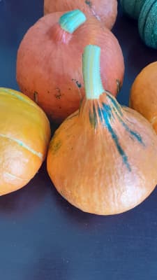 BIO-Hokkaidokürbis groß, ca. 900-1500 g von Biohof Jungbauer