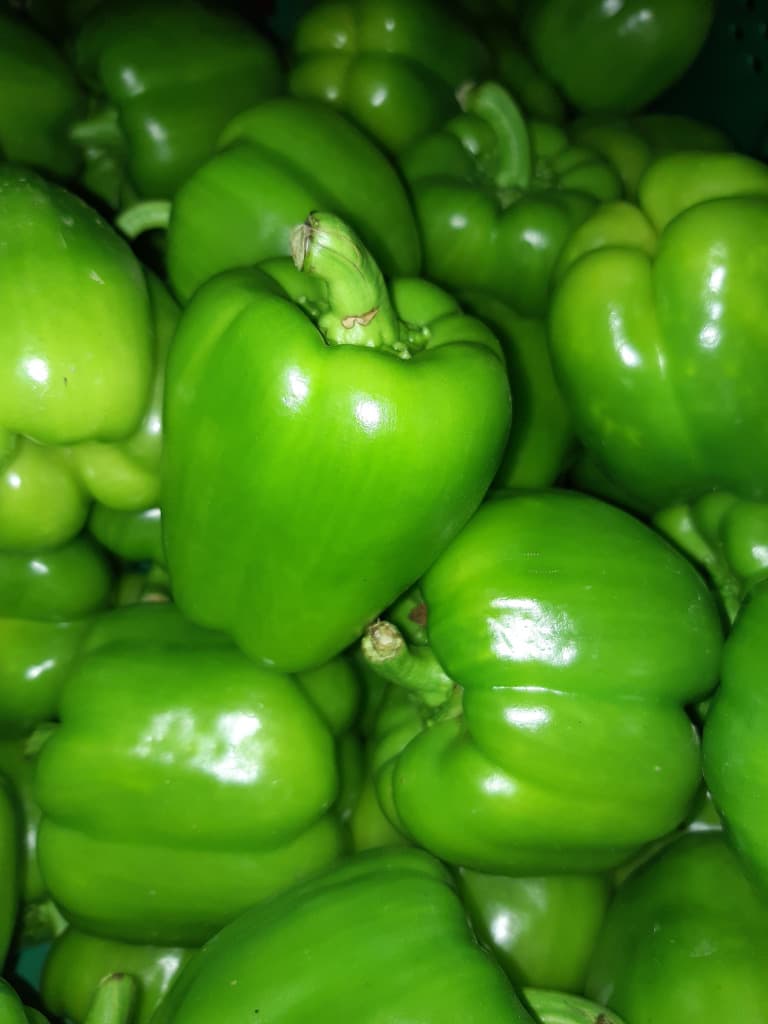 Paprika Block Grün Bio 300g