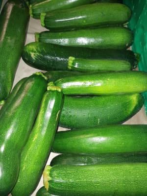 Zucchini Stk. ab 150g Bio von Vielfalt Mader