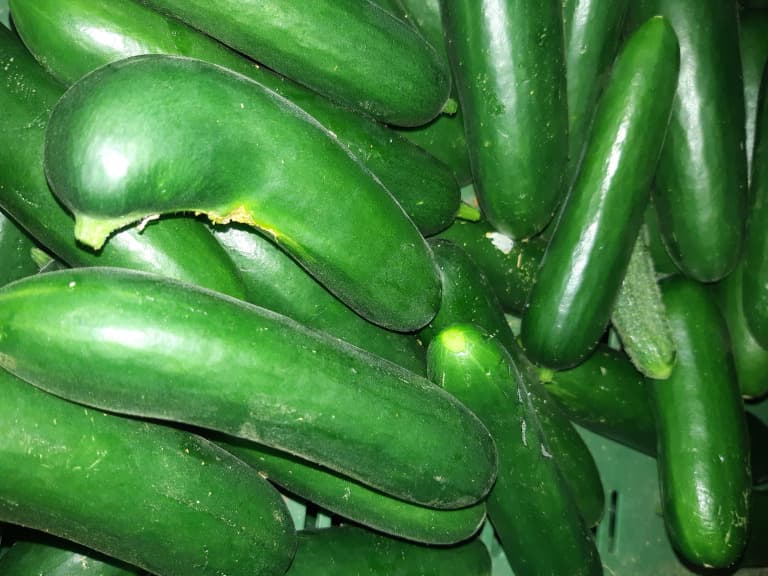 Gurken Überraschung Bio 500g