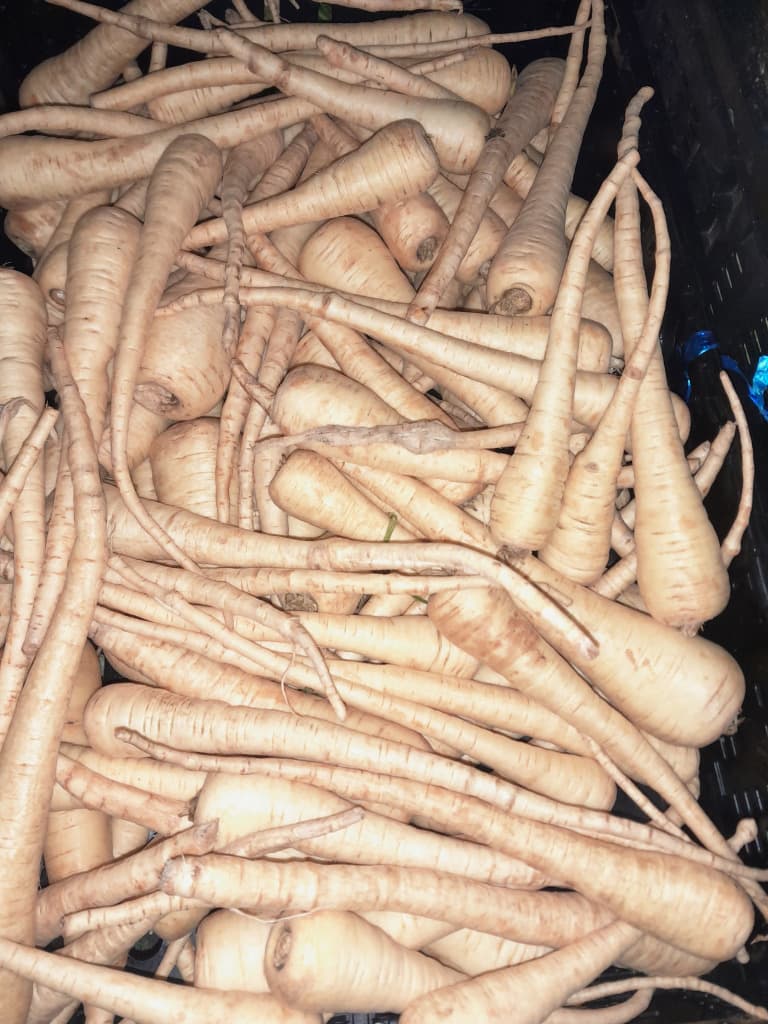 Pastinaken 500g Bio