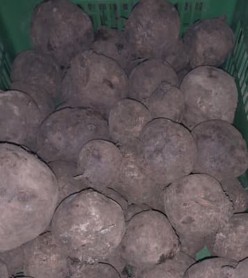 Rote Rüben 500g Bio (eher kleine Rüben) von Vielfalt Mader