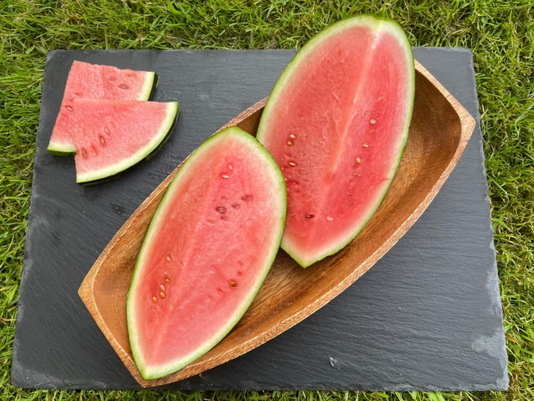 Mini-Wassermelone