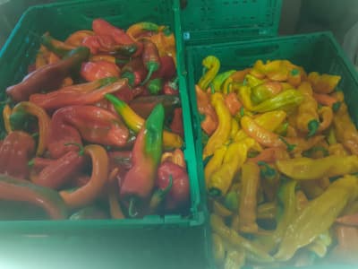 Paprika Bunt 300g von Vielfalt Mader