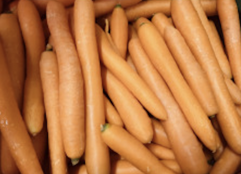 Karotten orange “Sissi“