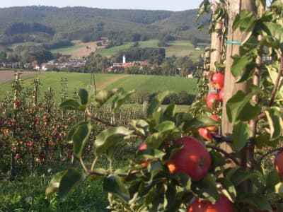 BiO Äpfel Topaz von Annahof - biologische Landwirtschaft Fam. Schabbauer