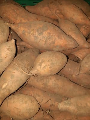 Süßkartoffel 500g BIO von Vielfalt Mader