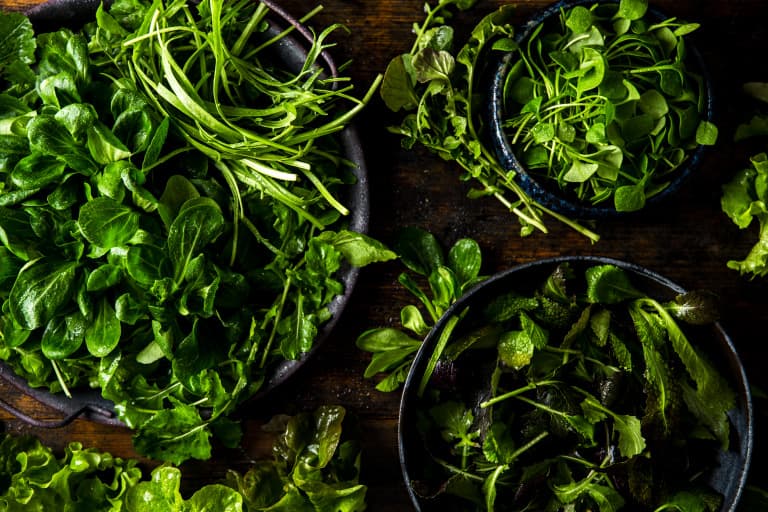 Wiesenmischung 100g Bio