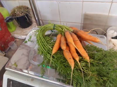 Karotten Bund 300g Bio von Vielfalt Mader