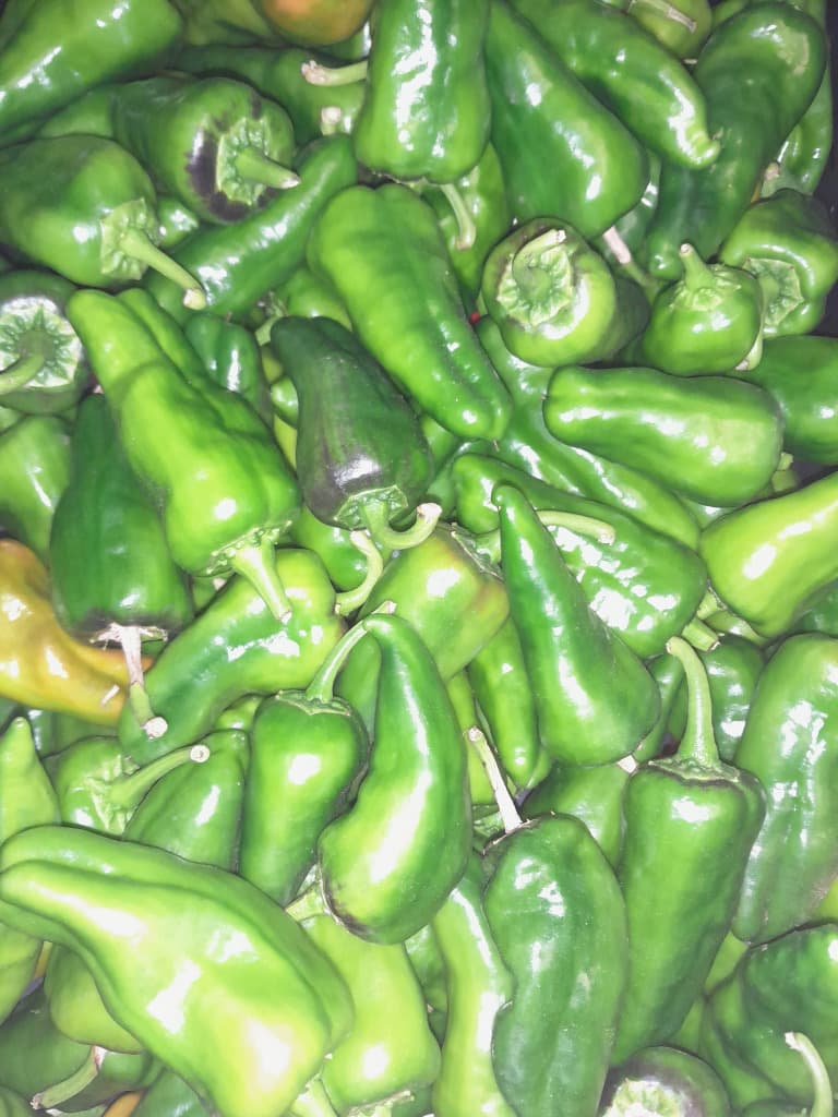 Pimiento de Padron 80g Bio