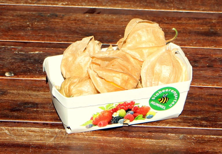 Weinviertler Bio Goldbeeren (Physalis)