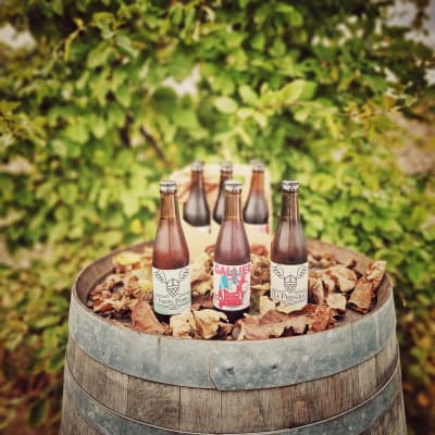 Gallier Barrique 6-Pack von Gallier Bräu