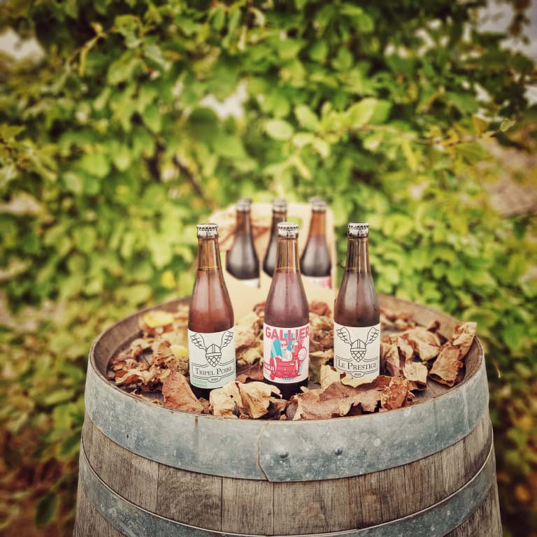 Gallier Barrique 6-Pack