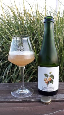 Apricot Sour - 4-Pack von Gallier Bräu