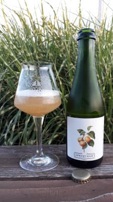 Apricot Sour von Gallier Bräu