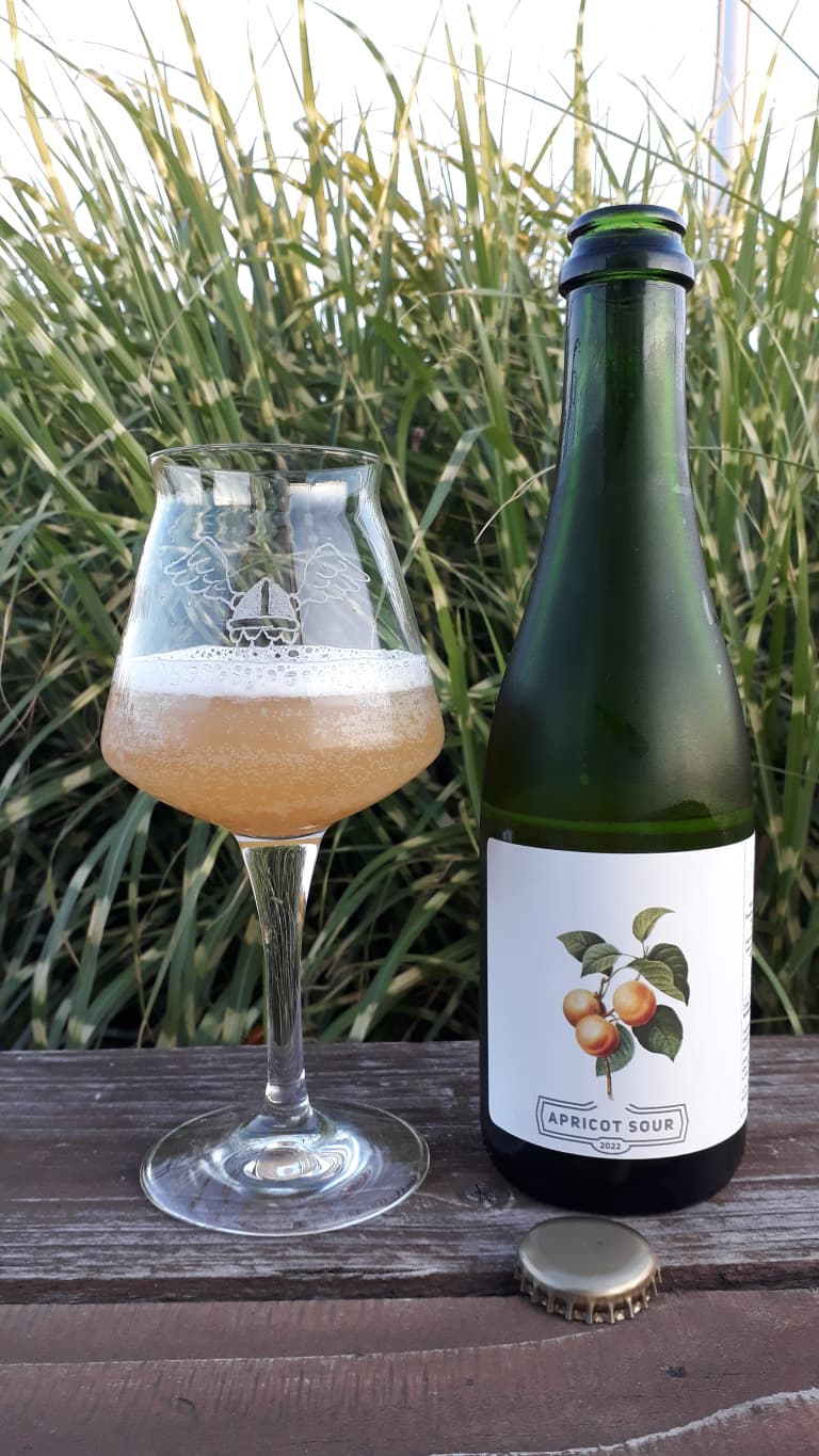 Apricot Sour - 4 Pack