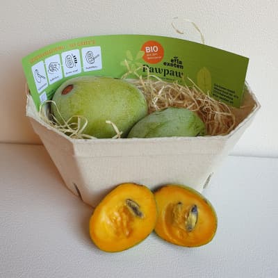 Bio Pawpaw 400g Tasse von Erla Exoten