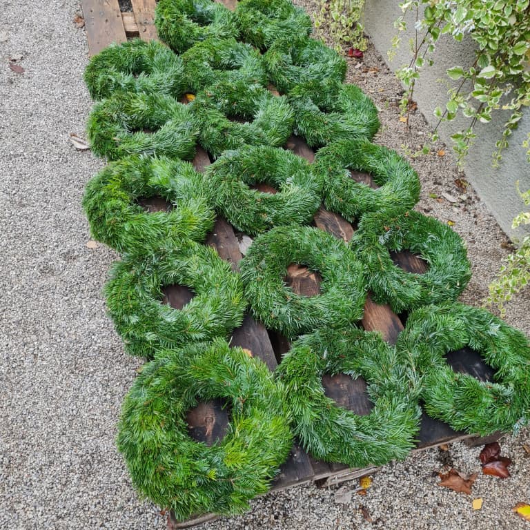 Adventkranz ohne Deko - Abholung Donnerstag, 27.11.2025