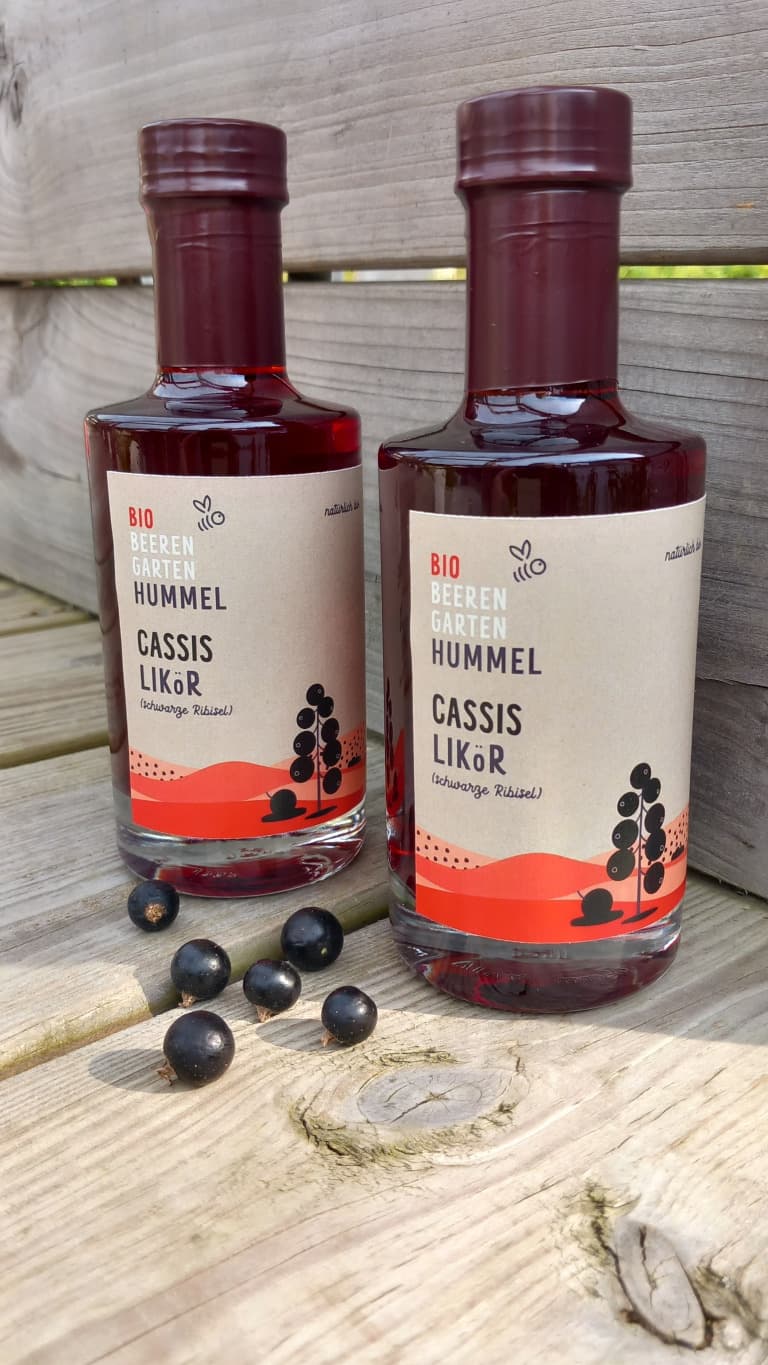 Bio schwarzer Ribisellikör (Cassis)