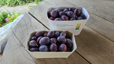 Bio Zwetschken von Biohof Wechselauer