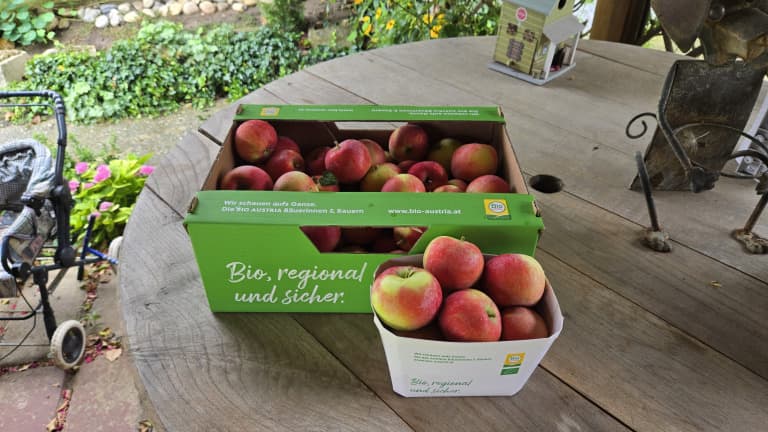 Bio Äpfel "Allegro"