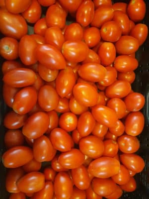 Paradeiser 300g Bio von Vielfalt Mader