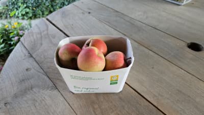 Bio Äpfel "Gala" von Biohof Wechselauer