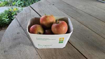 Bio Äpfel "Elstar" von Biohof Wechselauer
