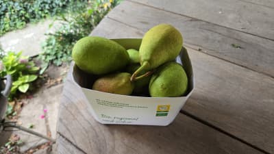 Bio Birnen "Gute Luise" von Biohof Wechselauer