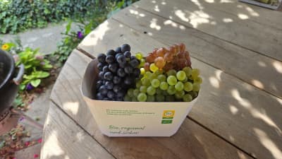 Bio Weintrauben Mix von Biohof Wechselauer