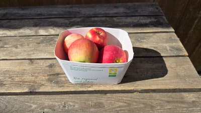 Bio Äpfel "Rebella" von Biohof Wechselauer