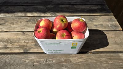 Bio Äpfel "Resi" (klein) von Biohof Wechselauer