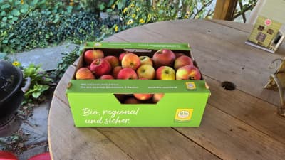 Bio Äpfel Mix von Biohof Wechselauer