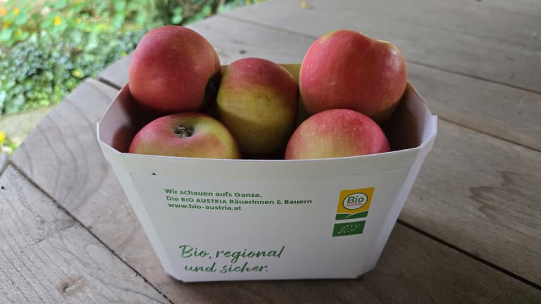 Bio Äpfel "Sissi"